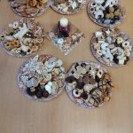 phoca_thumb_m_krteci nadlka 19 Fotogalerie